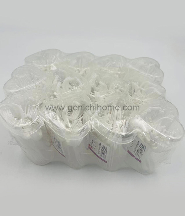 PROMPTU dentalis Persona: Genera, Materials & Hygiene Guide